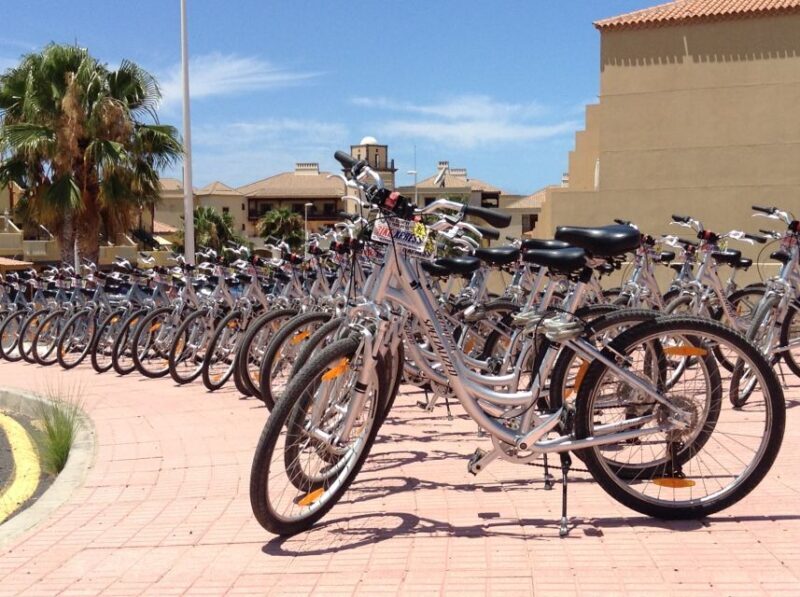 South Tenerife: Bike Rental with Hotel Delivery - What You Can Expect on Your Cycling Day
