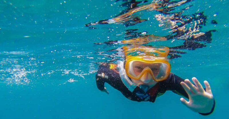 South Tenerife: Guided Snorkeling - A Typical Day on the Snorkeling Tour