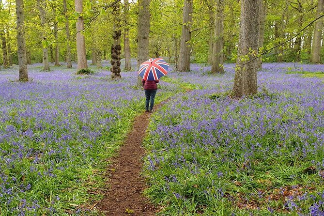 Southampton Port to London - Transfer with Sightseeing - FAQs