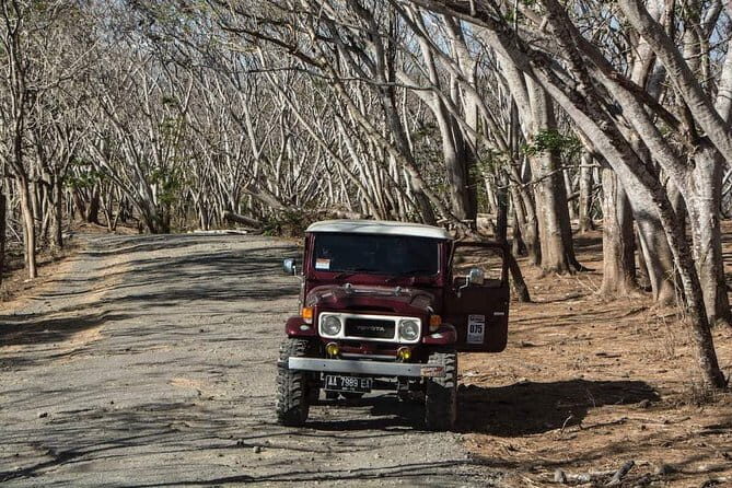 Southeast Peninsula Lombok Tour - Detailed Review of the Southeast Peninsula Lombok Tour