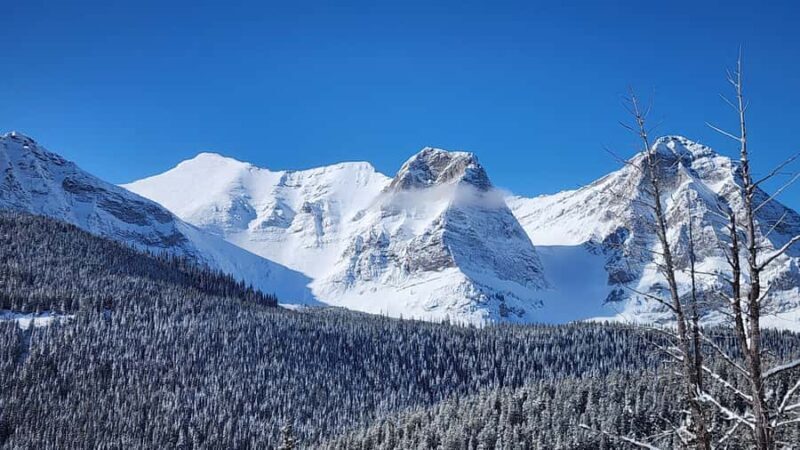 Southern Alberta: Canadian Rockies Guided Side by Side Tour - Who Should Consider This Tour?
