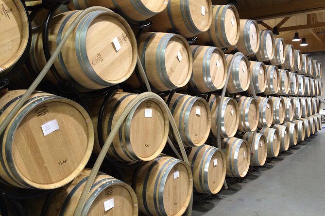 Southern Burgundy Wine Tour - Full Day Shared tour from Lyon - An In-Depth Review of the Southern Burgundy Wine Tour