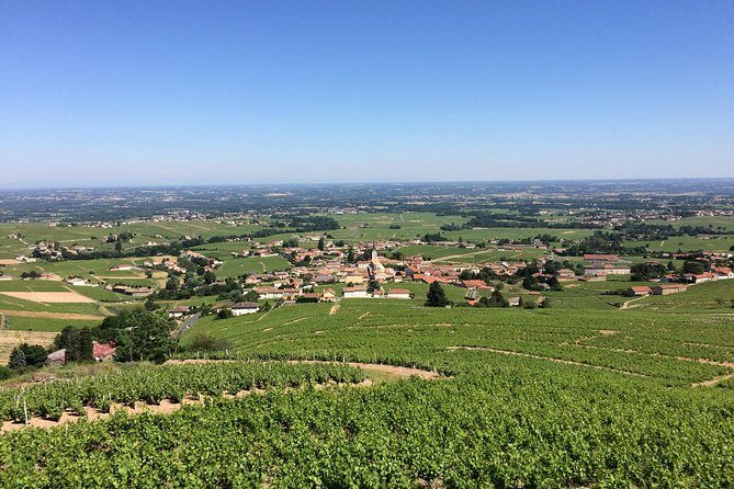Southern Burgundy Wine Tour - Full Day Shared tour from Lyon - Final thoughts