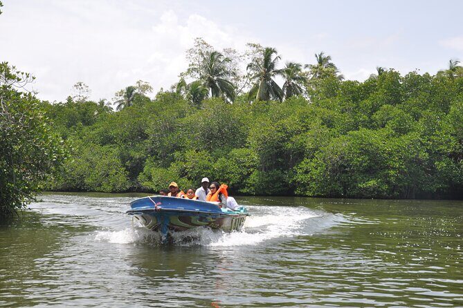 Southern Coast Highlights and River Safari from Beruwala - FAQ