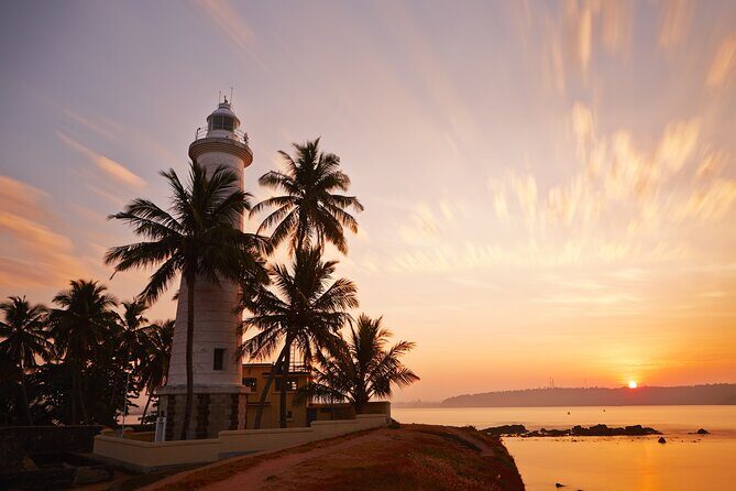 Southern Coast Highlights from Colombo - Who Would Benefit Most from This Tour?