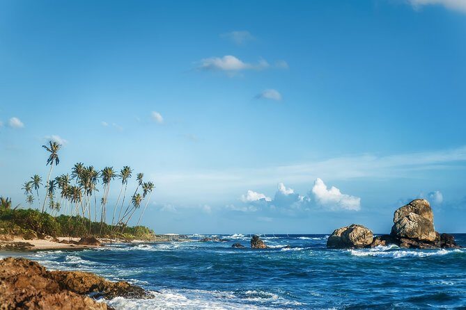 Southern Coast Highlights from Colombo Seaport - FAQ