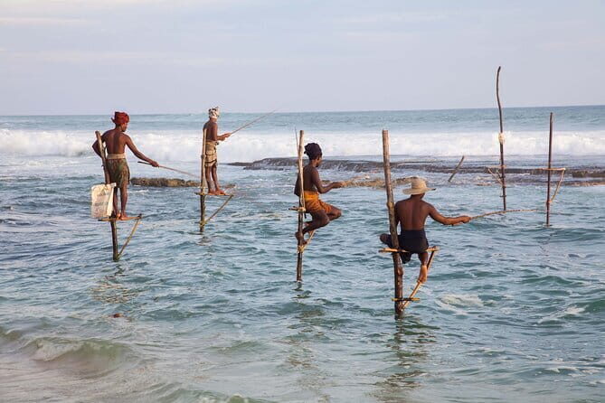 Southern Coast Highlights from Hambantota - Unpacking the Itinerary: What You Can Expect