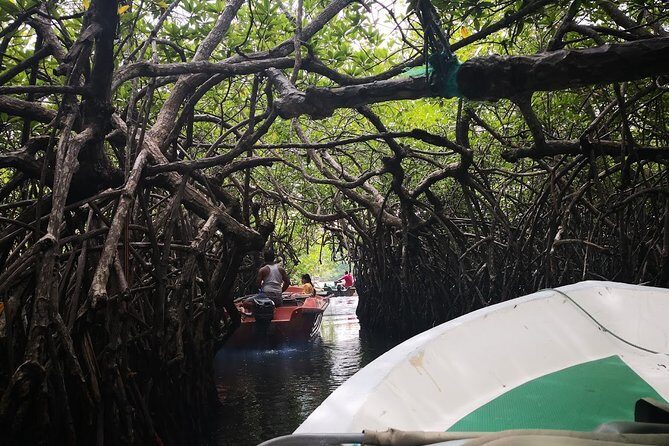 Southern Coast Highlights from Mount Lavinia - Who Will Love This Tour?