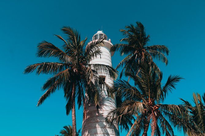 Southern Coast Highlights from Negombo - Final Thoughts