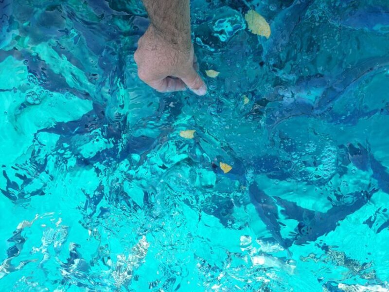 Southern Coast of Hvar & Pakleni Islands Tour - Exploring the Itinerary in Detail