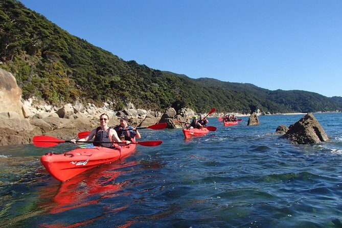 Southern Duo kayak & walk tour - Who This Tour Is Best For