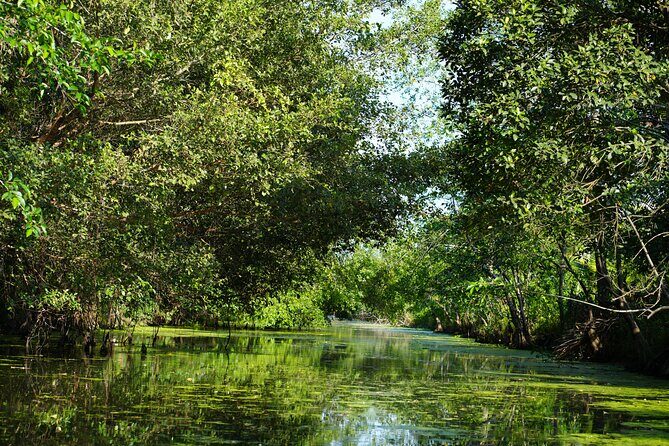 Southern Forest Tour  Explore Hau Giang Nature - FAQ