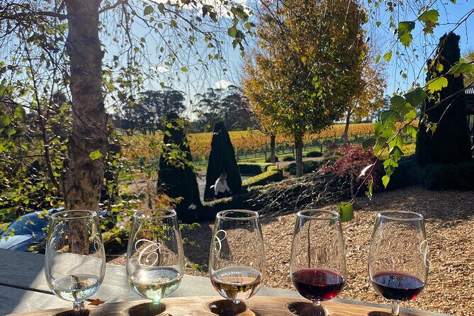 Southern Highlands Full Day Wine Tour Sydney Pick Up - The Sum Up