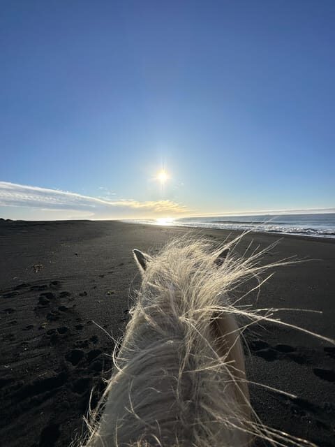 southern Iceland: Black beach riding tour - Key Points