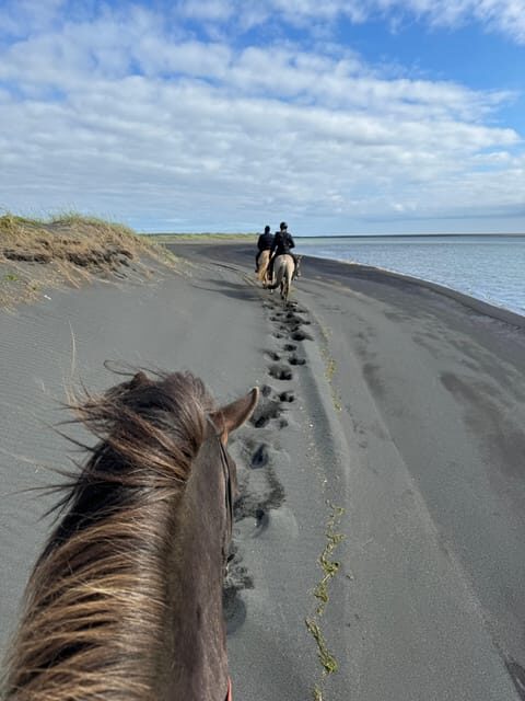 southern Iceland: Black beach riding tour - The Sum Up