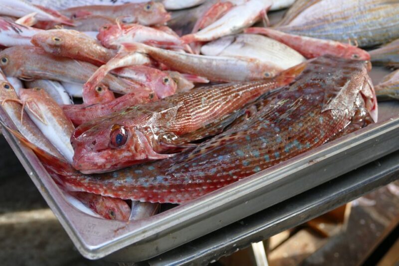 Southern Malta: Blue Grotto, Hagar Qim, and Marsaxlokk Tour - FAQ