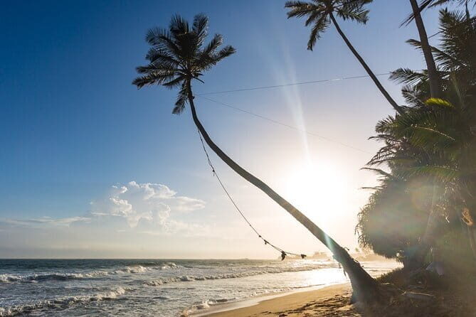 Southern Sri Lanka Day tour from Hambantota - Authentic Experiences & Hidden Gems