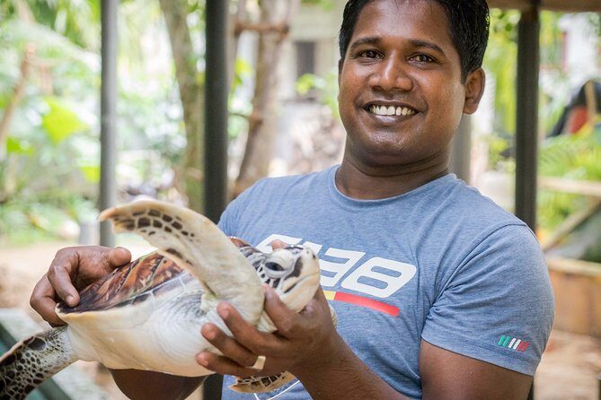 Southern Sri Lanka Sightseeing Day Trip From Colombo & Negombo - Madu River Safari: Wildlife and Unique Experiences
