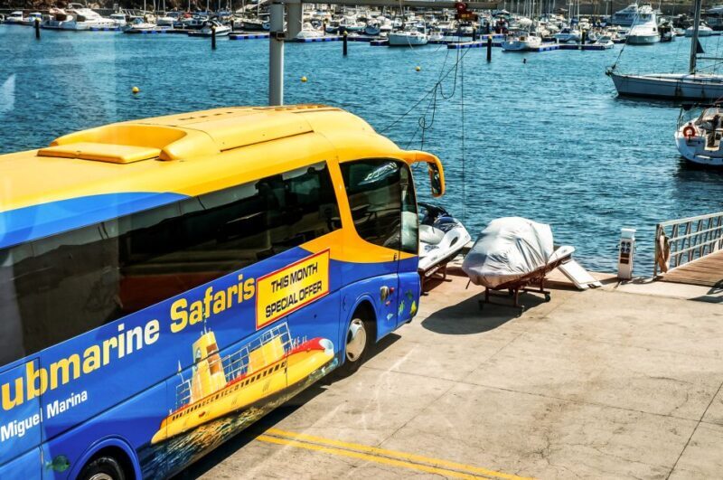Southern Tenerife: 50-Minute Submarine Dive - A Practical Guide to the Tenerife Submarine Tour