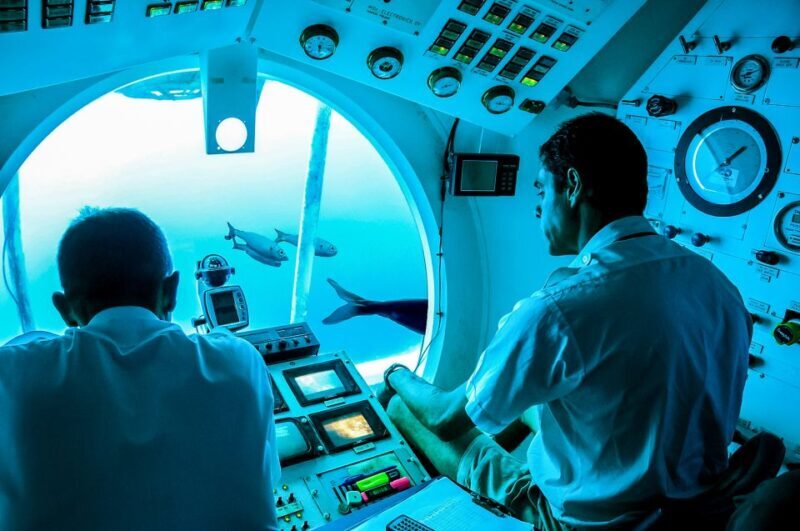 Southern Tenerife: 50-Minute Submarine Dive - The Pros and Cons — A Straightforward Look