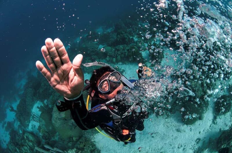 Southpoint Divers: 1-Day Discover Scuba Diving Course - The Itinerary: What to Expect