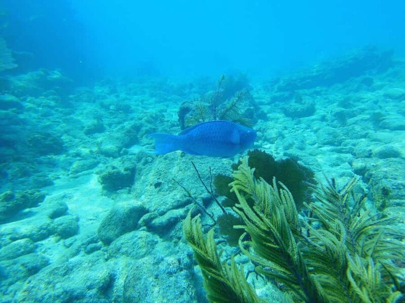 Southpoint Divers: 1-Day Discover Scuba Diving Course - The Sum Up