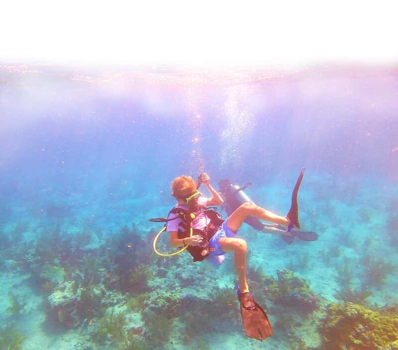 Southpoint Divers: Afternoon Reef Dive Trip - Final Thoughts: Is It Worth It?