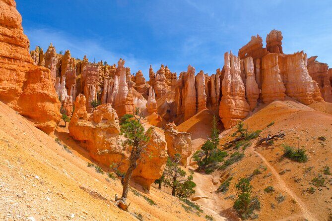 Southwest Giant Ring W/National Parks 4-Day Tour from Las Vegas - Who Will Love This Tour?