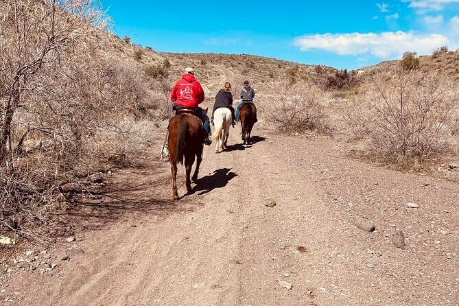 Southwest Horseback Riding with Spectacular Views - What You’ll Love About This Experience