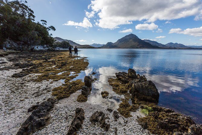 Southwest Tasmania Wilderness Experience: Fly Cruise and Walk Including Lunch - The Overall Experience: Authenticity & Value