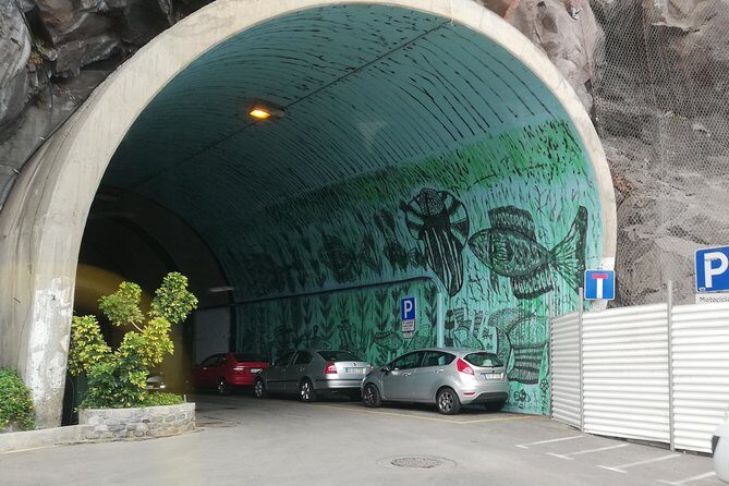 Southwest Tour of the Island - Transportation and Comfort