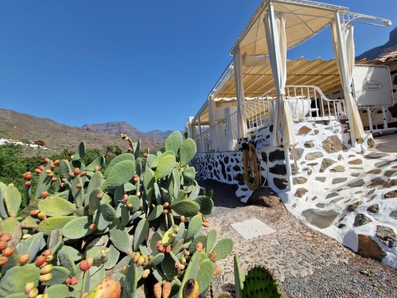 Spanish Cured Meats & Wine Tasting Tour in Mogan - Authentic Experiences and Insights from Reviews