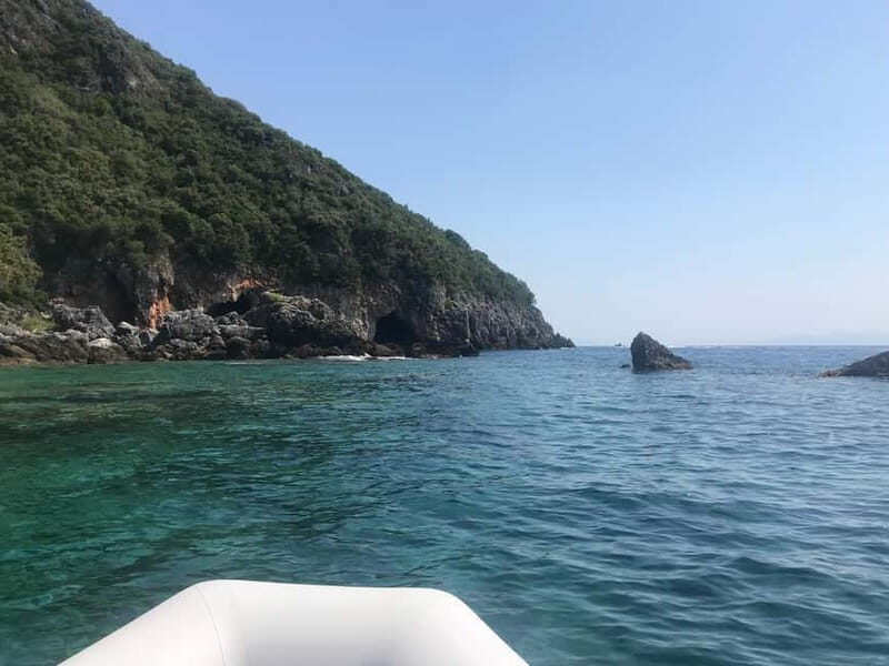 Spearfishing Fishing Tour with Seafood Lunch at the Beach - Key Points