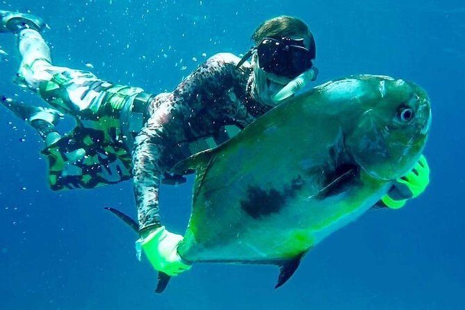 Spearfishing Playa del Carmen or Tulum - Why This Tour Offers Real Value