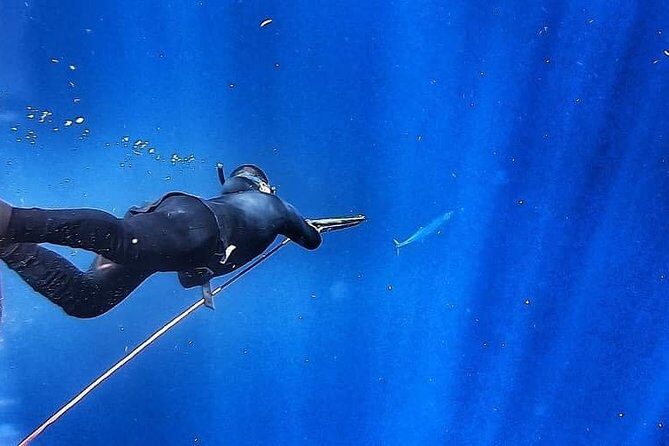 Spearfishing Playa del Carmen or Tulum - Final Thoughts: Who Should Consider This Tour