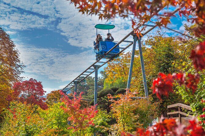 Special Private Tour Nami Island, Rail Bike, Petite France - A Deep Dive into the Itinerary