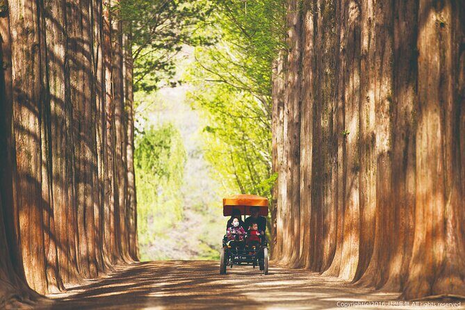 Special Private Tour Nami Island, Rail Bike, Petite France - Frequently Asked Questions