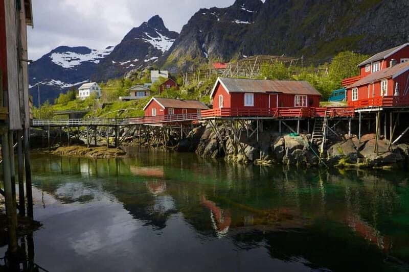 Special Summer Cruise Bus Tour of Lofoten - Key Points