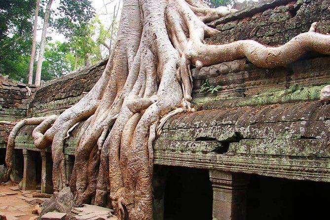 Special Three Days Angkor Tour - A Close Look at the Itinerary