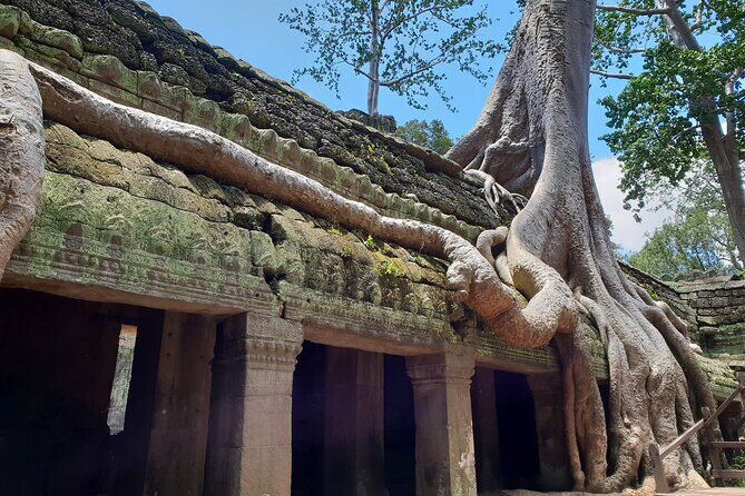 Special Three Days Angkor Tour - Summary: Is It Worth It?