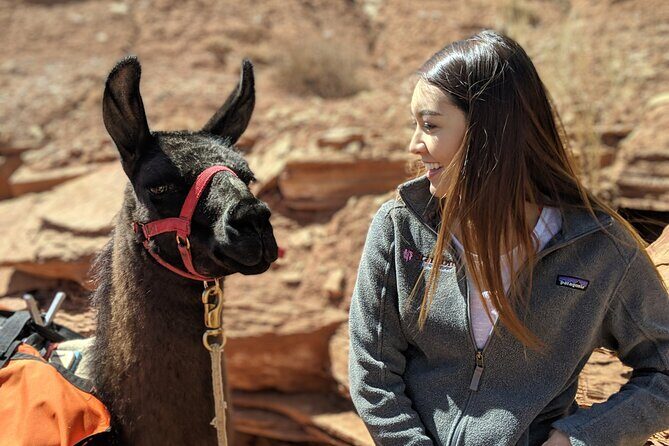 Spectacular 8-Hour Guided Llama Hike with Lunch and Dinner - Key Points