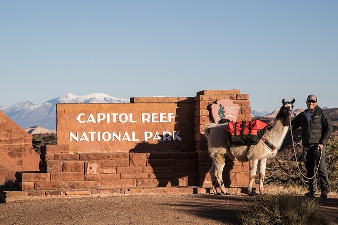 Spectacular 8-Hour Guided Llama Hike with Lunch and Dinner - The Value of the Experience