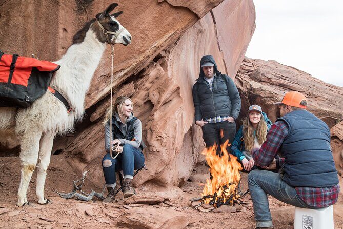 Spectacular 8-Hour Guided Llama Hike with Lunch and Dinner - Who Is This Tour Best For?