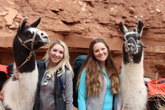 Spectacular 8-Hour Guided Llama Hike with Lunch and Dinner - FAQs