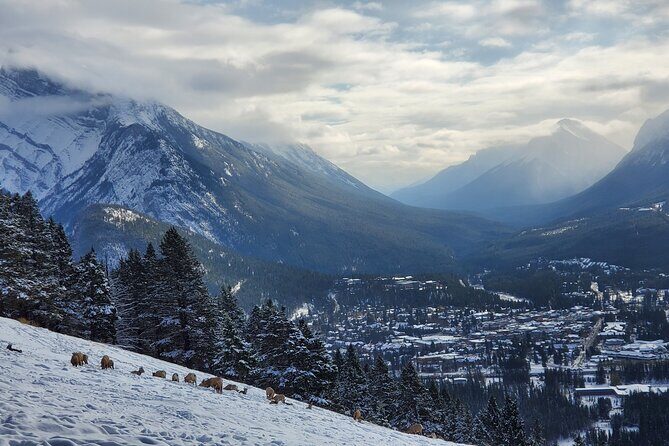 Spectacular Banff Day - Gondola Included - An In-Depth Look at the Tour Experience