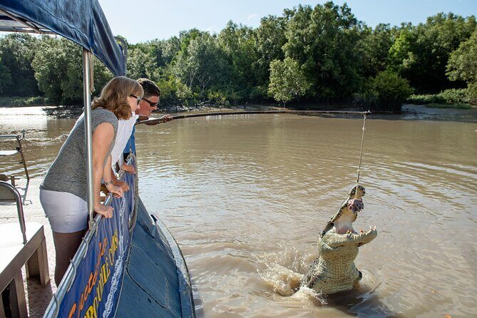 Spectacular Jumping Crocodile Cruise with Darwin Transfer Bus - What About the Price?
