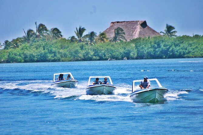 Speed Boat & Snorkel Tour with transportation ( only Cancun zone area) - What to Expect from the Tour
