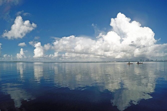 Speed Boat & Snorkel Tour with transportation ( only Cancun zone area) - The Sum Up