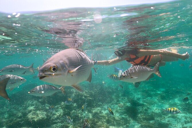 Speed Boat Snorkeling in Cancun with Mayan Ceremony and Tasting - An In-Depth Look at the Experience