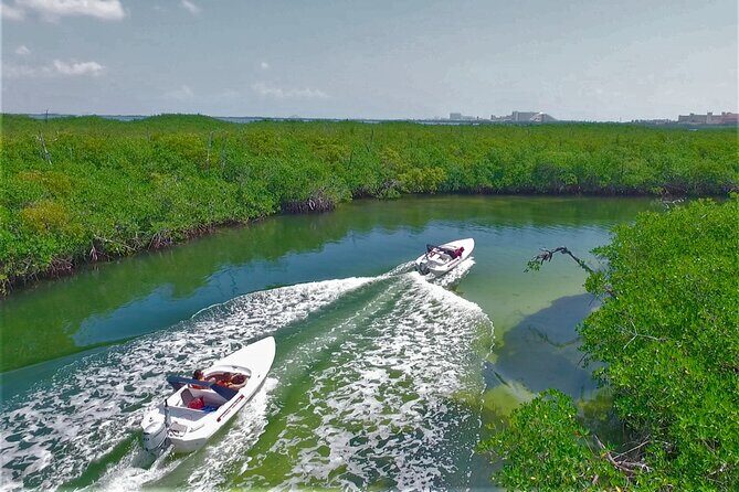 Speed Boat Tour for 2 - A Journey across Lagoon and Mangroves - Who Will Love This Tour?